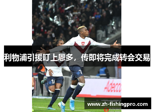 利物浦引援盯上恩多,传即将完成转会交易 利物浦引援盯上恩多,传即将完成转会交易